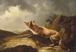 A fox in a landscape by English School