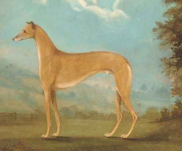 A greyhound in a landscape - view 1