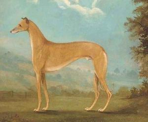 A greyhound in a landscape