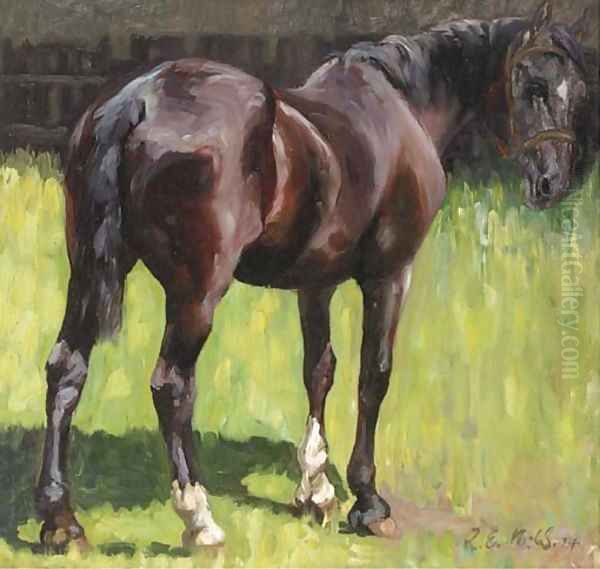 A horse in a paddock - view 1