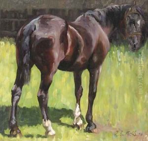 A horse in a paddock