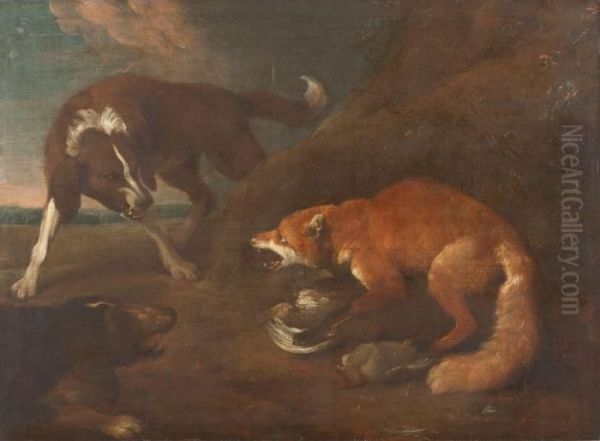 Fuchs, Von Hunden Attackiert - view 1