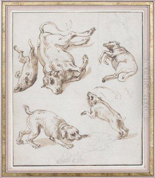 Etude D'animaux - view 1