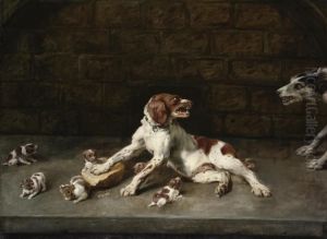 A Dog Defending Its Pups, In An Alcove A Dog Defending Its Pups, In An Alcove