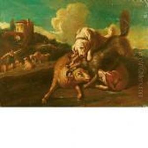 Montone Aggredito Dai Cani Montone Aggredito Dai Cani