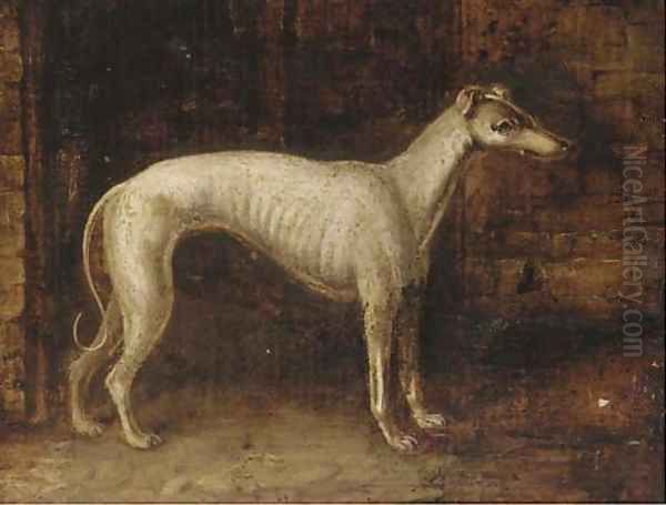 A prize greyhound - view 1