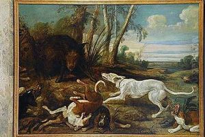 Perros Acosando A Un Jabali
