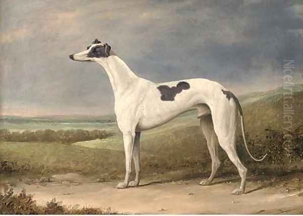 A prize greyhound in an extensive landscape - view 1
