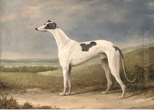 A prize greyhound in an extensive landscape by English School