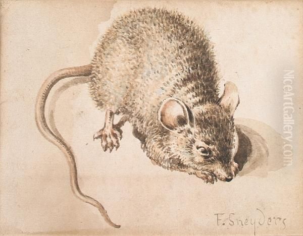 Mouse - view 1