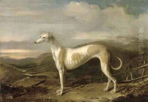 A prize greyhound in an extensive landscape, a river beyond