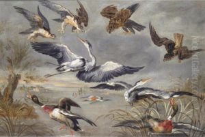 Still Life Of Duck, Herons, And Birds Of Prey by Frans Snyders