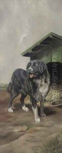 A proud retriever in front of his home by English School