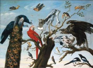 Concerto Di Uccelli