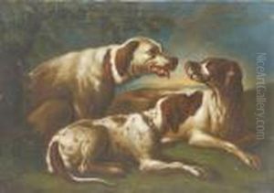 Cani Da Caccia Cani Da Caccia