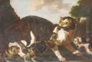 Gatti thumbnail