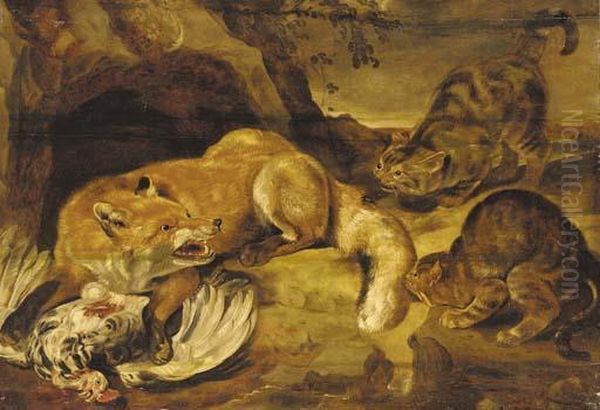 A Fox Defending Its Kill From Wild Cats - view 1