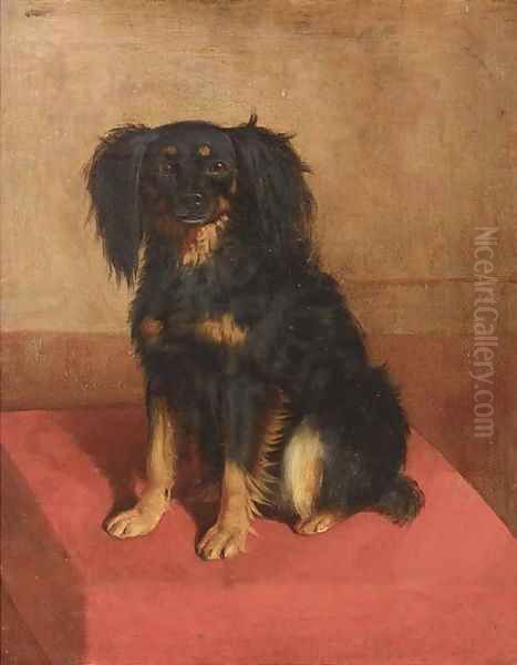 A seated spaniel - view 1