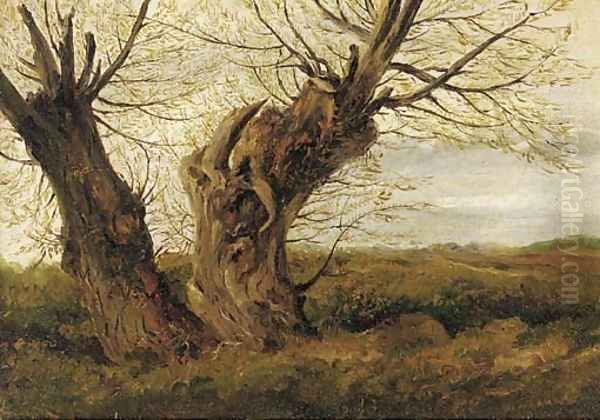 A study of a willow - view 1
