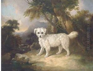 A terrier in a landscape 2 by English School