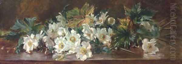 Anemones on a ledge - view 1