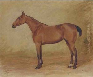 Be Sure, a chestnut hunter by English School