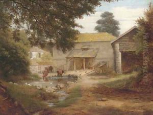 Cattle in a farmyard