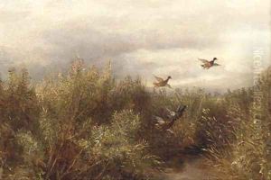 Ducks over a marsh by English School
