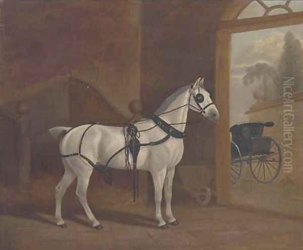 Fancy, a carriage horse - view 1