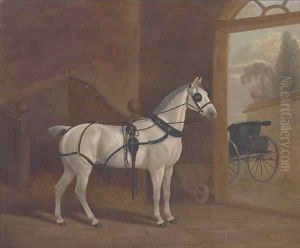 Fancy, a carriage horse by English School