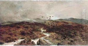 Grouse over the moors