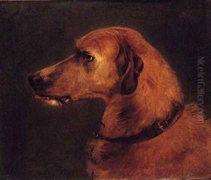 Head of a Deerhound