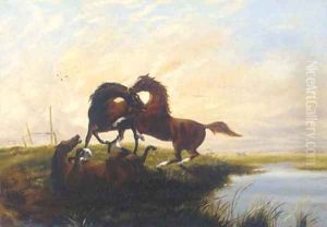 Horses fighting at sunset by English School
