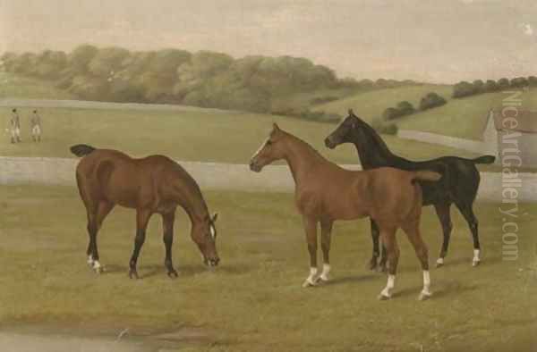 In the paddock - view 1