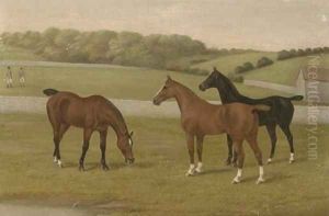 In the paddock
