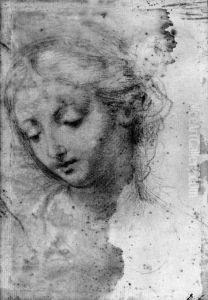 The Head Of A Young Woman Looking Down