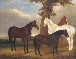 Mares under a tree Mares under a tree