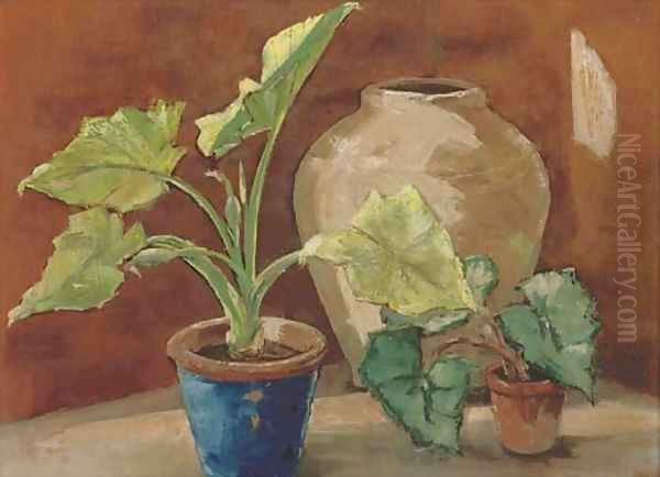 Plants and pots - view 1