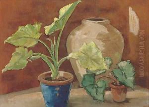 Plants and pots Plants and pots