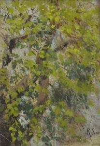 Albero Albero