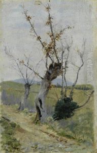 Altipiano Al Mattino by Raffaelo Sorbi