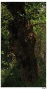 Luce Tra Gli Alberi by Raffaelo Sorbi