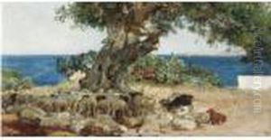 Algarrobo (the Carob Tree)