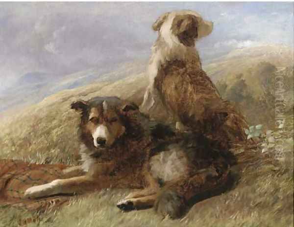 Sheepdogs resting in a landscape - view 1