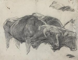 Two Bulls In Harness