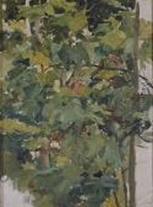 Estudio De Parra, C. 1897 Estudio De Parra, C. 1897