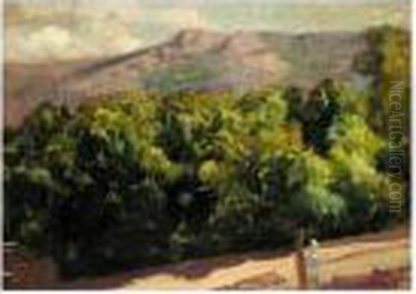 La Selva. Jardines De La Granja De San Ildefonso (gardens At San Ildefonso) - view 1