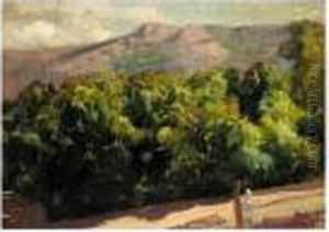 La Selva. Jardines De La Granja De San Ildefonso (gardens At San Ildefonso) by Joaquin Sorolla Y Bastida
