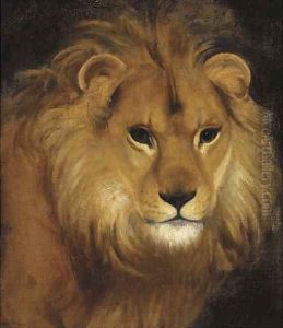The head of a lion