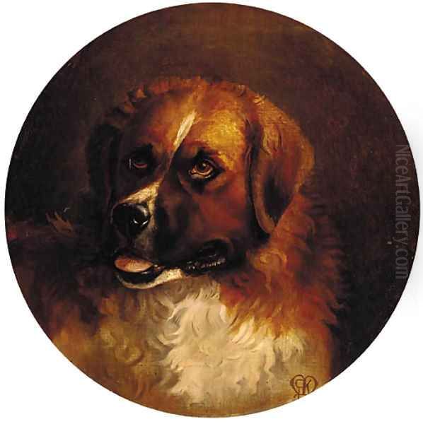 The head of a St. Bernard - view 1